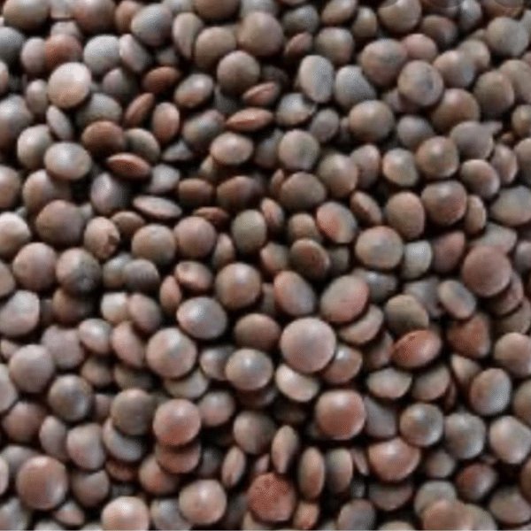 Malka Dal — Jaina Needs