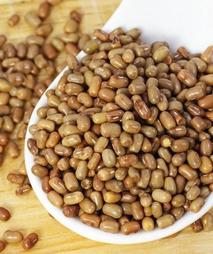 मोंठ dal — Jaina Needs