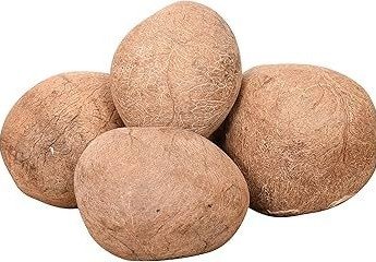 Dry Coconut — Jaina Needs