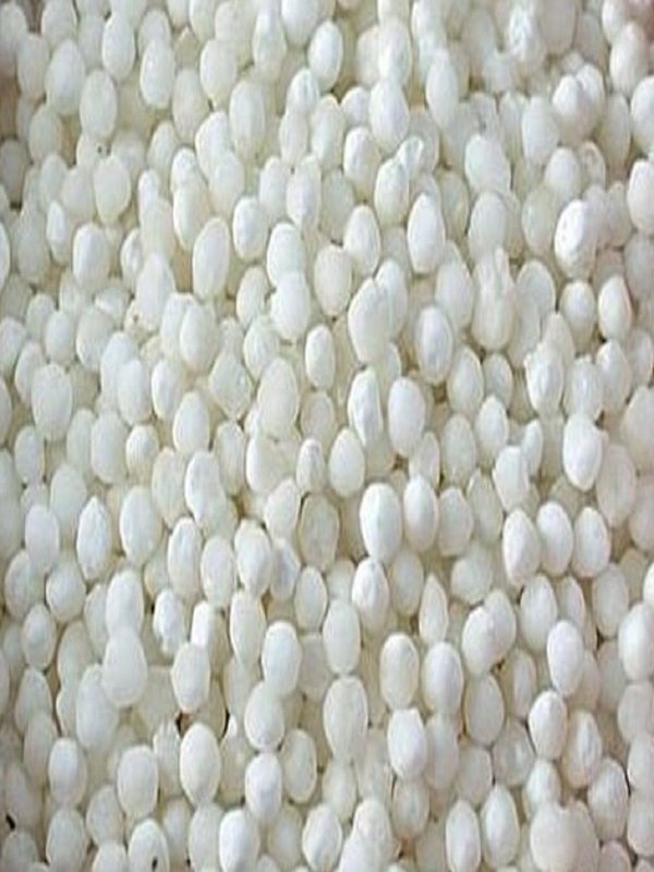 Mota sabudana — Jaina Needs